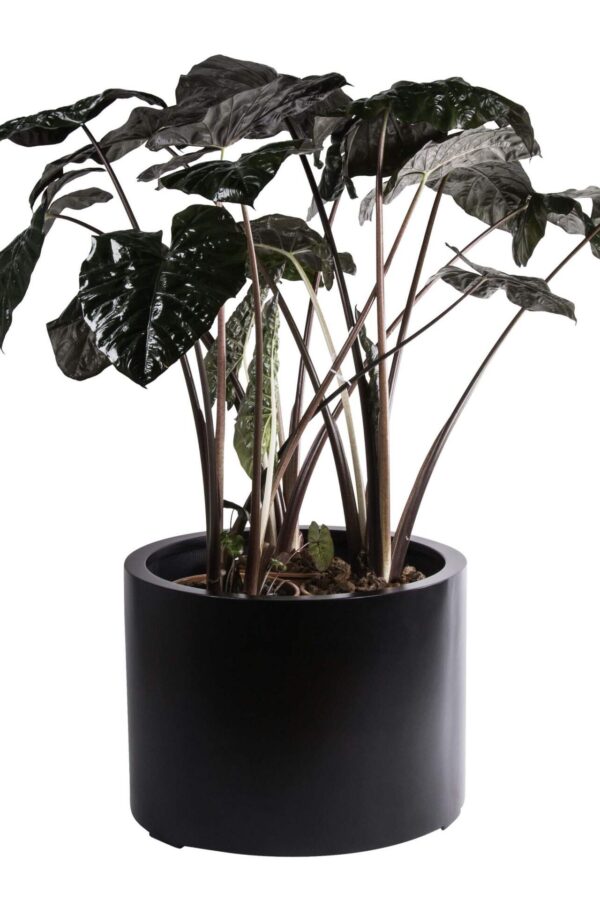 Plantenbak Manilla zwart doorsnede 85 cm VTW