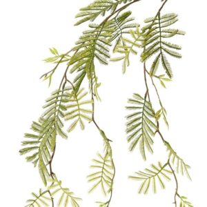 Mimosa groene bladtak 110 cm