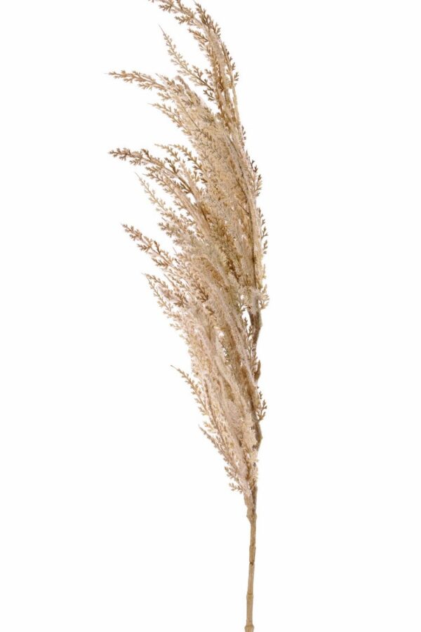 Pampas grastoef creme 100 cm