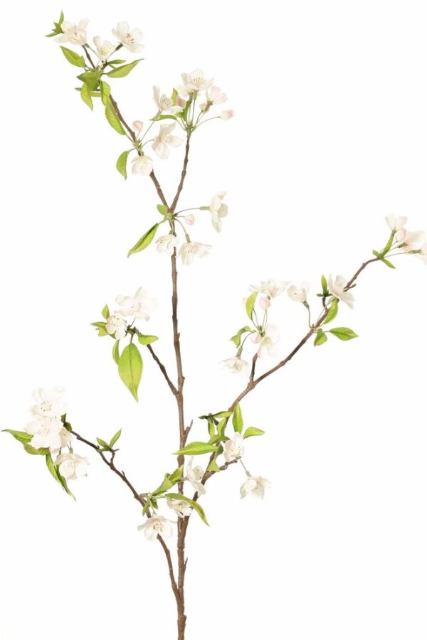 Peren bloesemtak 115 cm