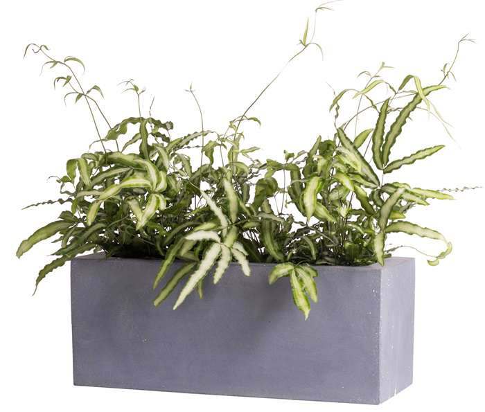 Plantenbak Indy grijs breedte 80 cm VTW - Afbeelding 3