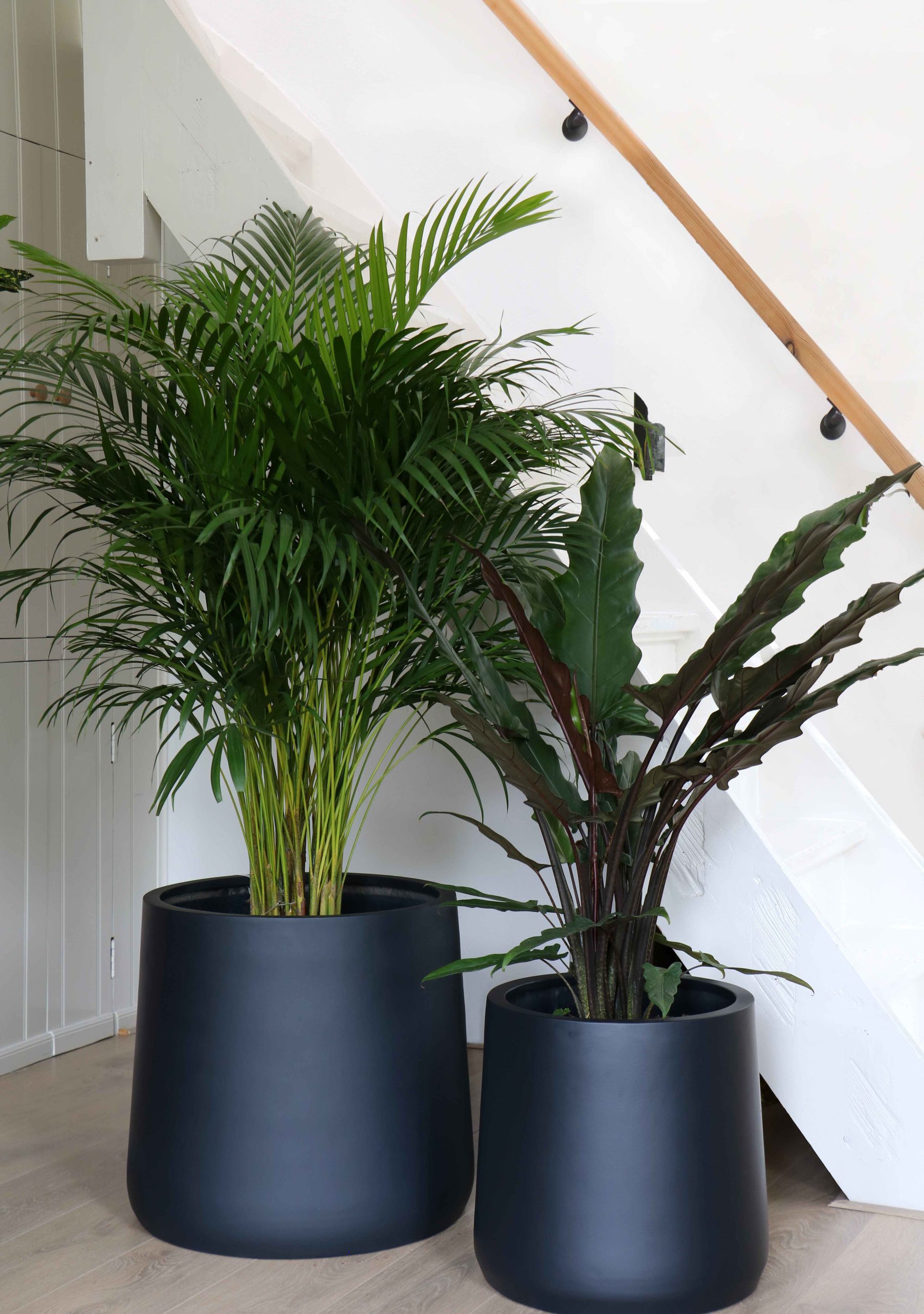 Bloempot Potland mat zwart H 40 cm VTW - Afbeelding 2