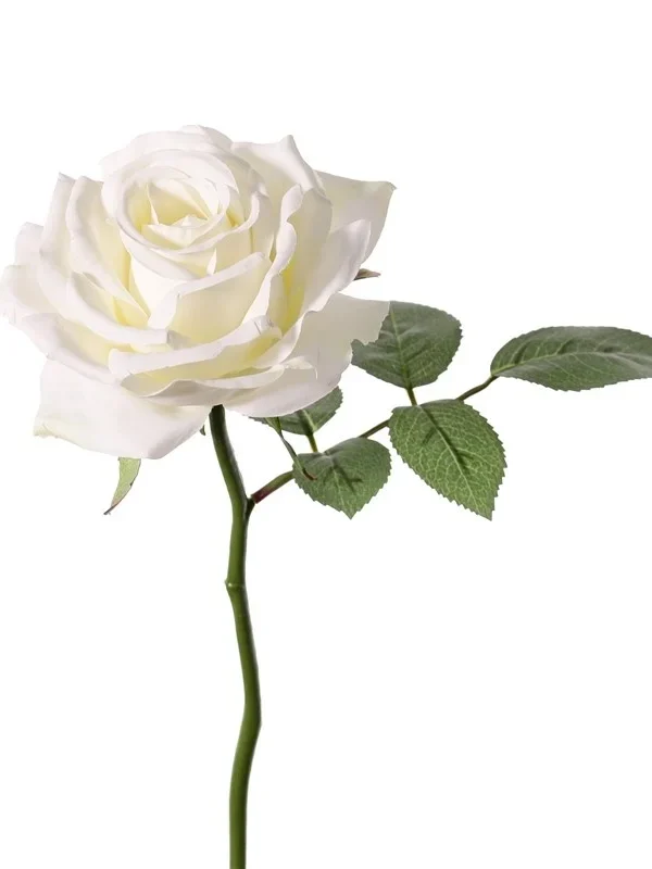 Roos wit Fleuri H30 cm