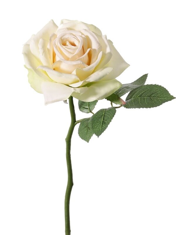 Roos de luxe wit -H30 cm