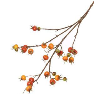 Rozenbotteltak oranje 110 cm