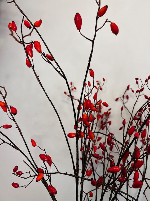 Rozenbottel rood 133 cm - Afbeelding 2