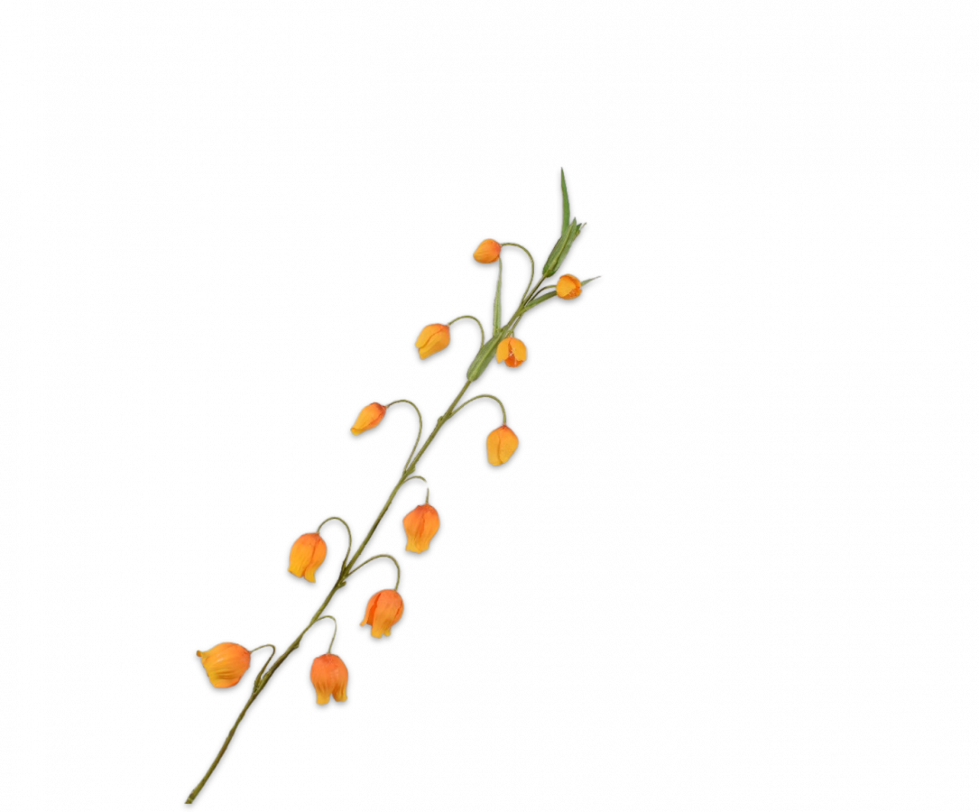 Sandersonia oranje 85 cm Silk-ka