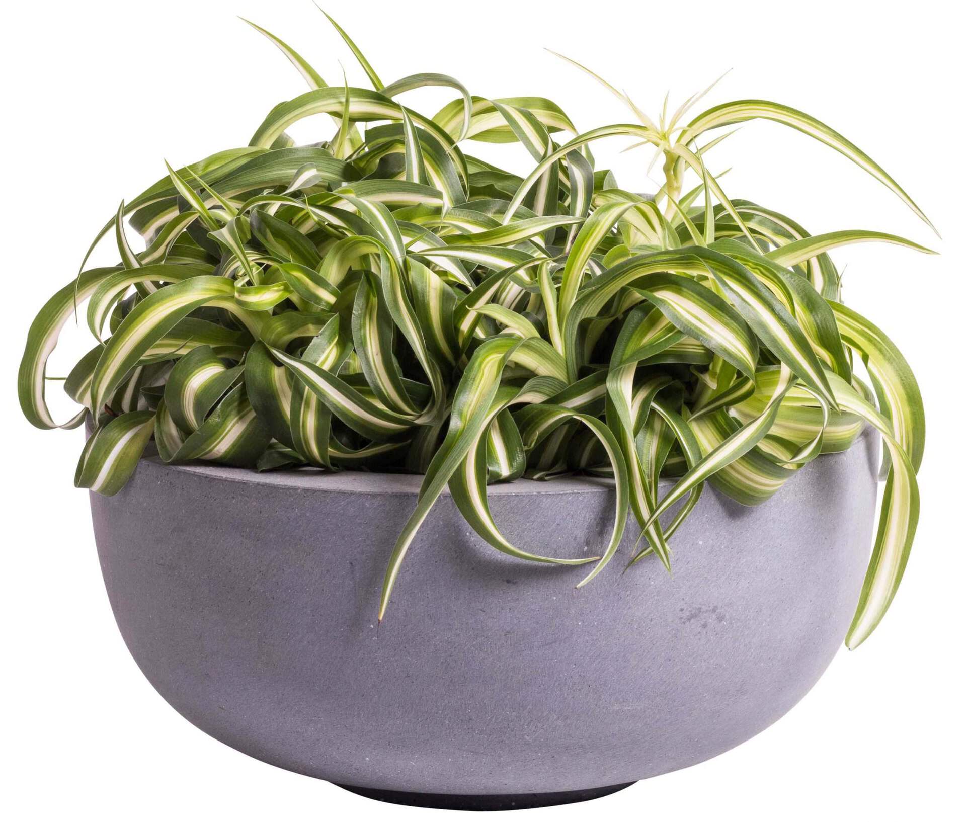 Bloempot / schaal duko beton mat grijs set van 2 stuks VTW