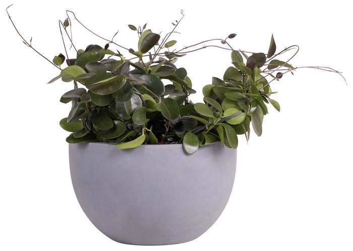 Bloempot schaal Louise grijs doorsnede 45 cm VTW