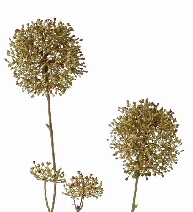 Sneeuwbal skimmia viburnum bruin/groen 90 cm - Afbeelding 2