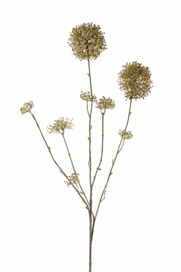 Sneeuwbal skimmia viburnum bruin/groen 90 cm