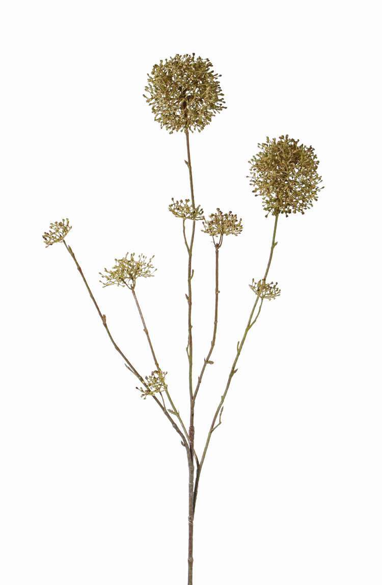 Sneeuwbal skimmia viburnum bruin/groen 90 cm