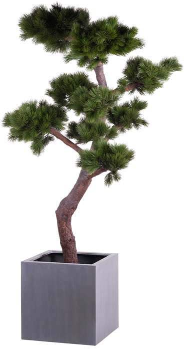 Plantenbak vierkant Elsa zwart 50 cm VTW - Afbeelding 7