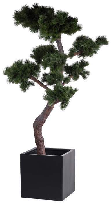 Plantenbak vierkant Elsa zwart 50 cm VTW - Afbeelding 8