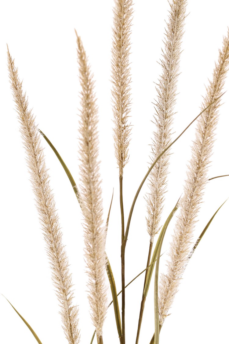 Lampepoetser met 5 gevlokte bloemen crème - H135 cm - Afbeelding 2