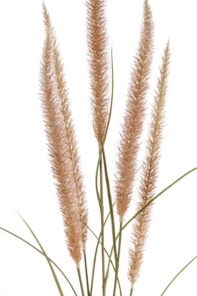 Lampepoetser met 5 gevlokte bloemen bruin - H135 cm - Afbeelding 2