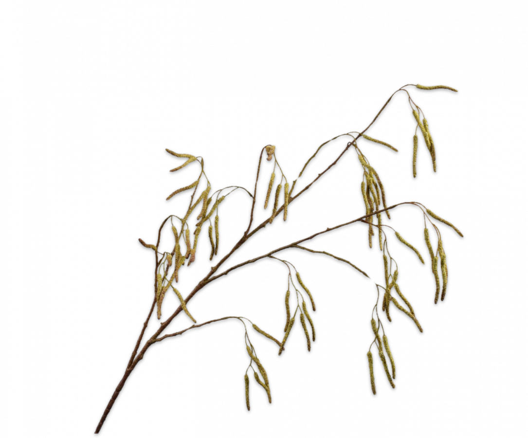 Wilgentak groen -H121 cm