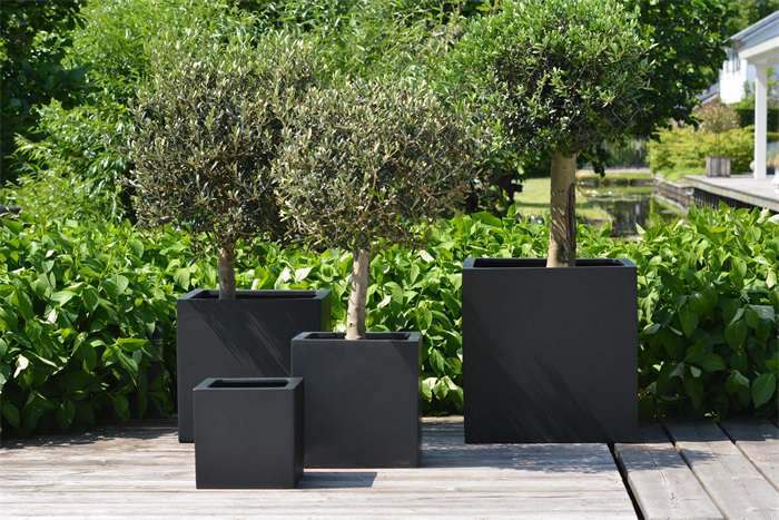 Plantenbak vierkant Elsa zwart 50 cm VTW - Afbeelding 3